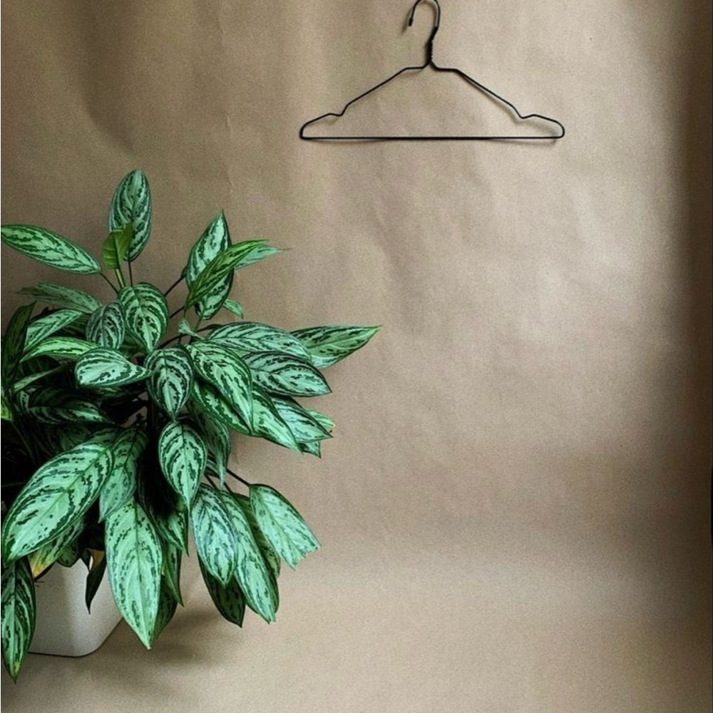 #556 🛍️ Live Show Listing - Unlisted item Purchase 🛍️
